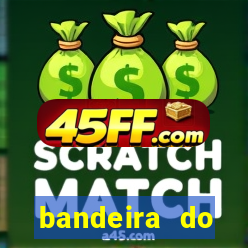 bandeira do flamengo para copiar